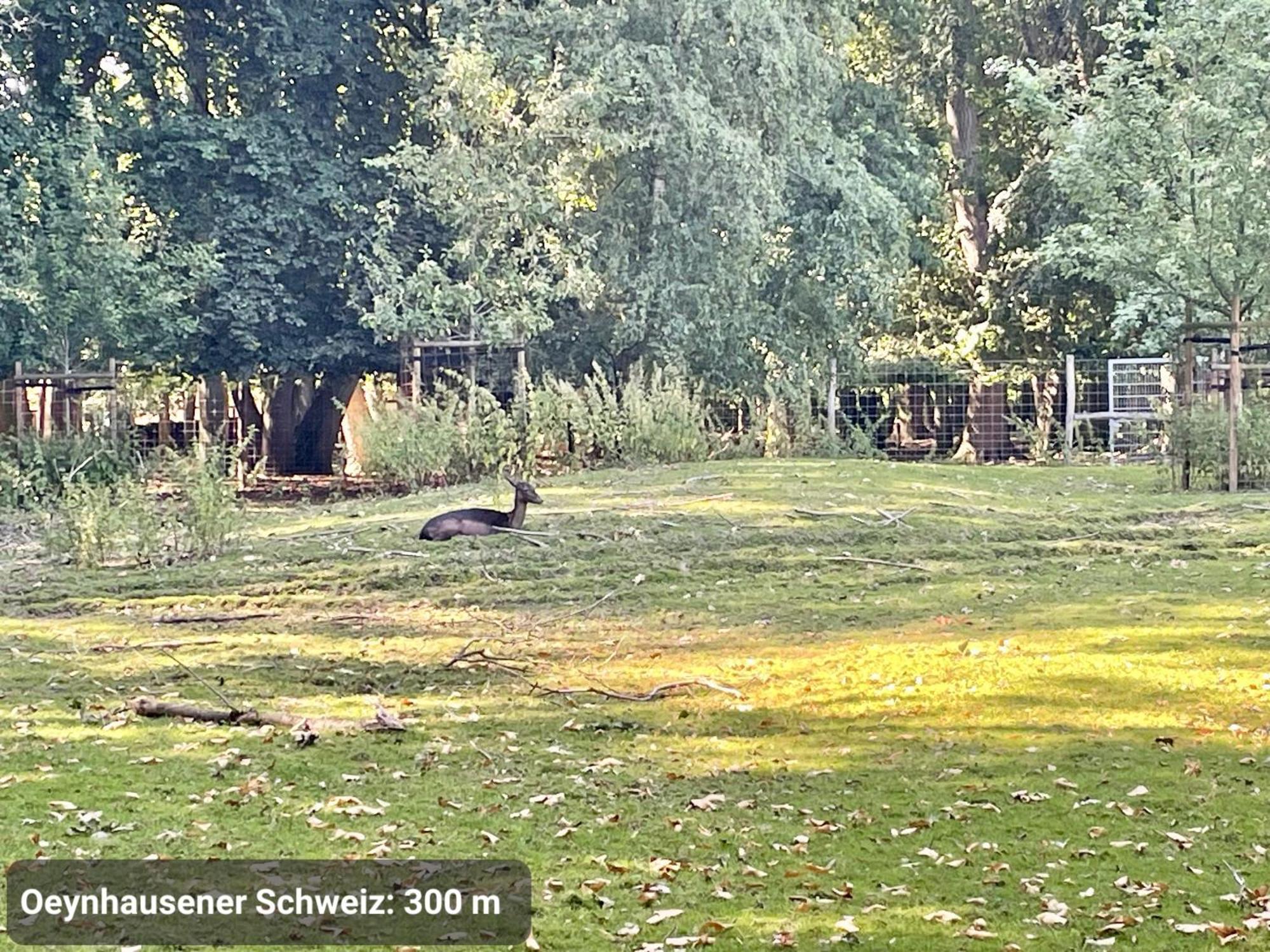 Kvartier2 In Top-Lage, 5 Min Zur Bali-Therme Und Gop, Hdz, Arbeitsplatz, Boxspringbett Bad Oeynhausen Esterno foto